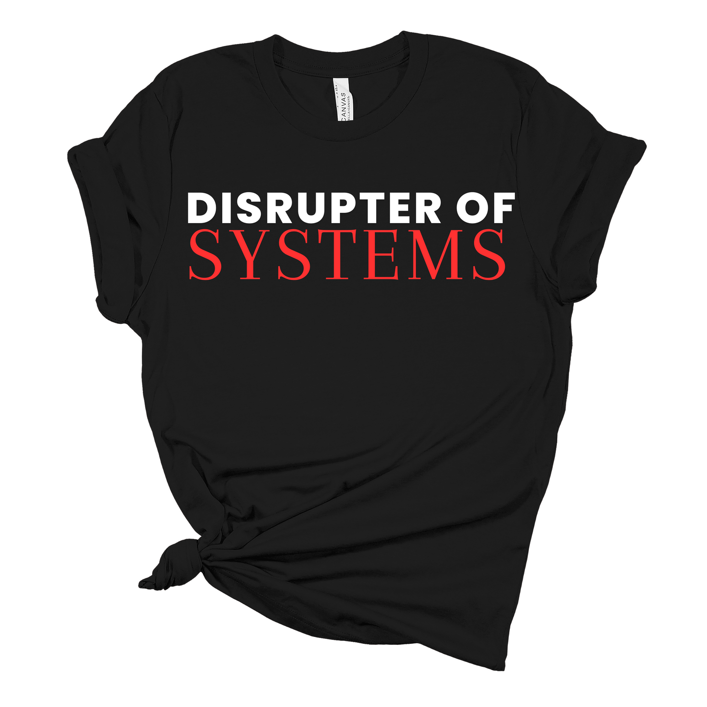 Disrupter of Systems